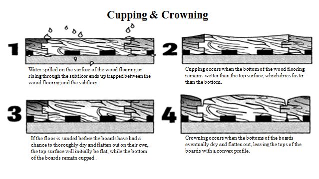 What is Cupping and Crowning in Wood Flooring? | Palo Duro Hardwoods Blog