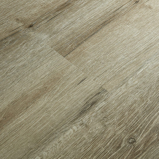 Rio Hondo - Image 2