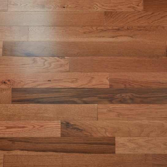 Oak Golden