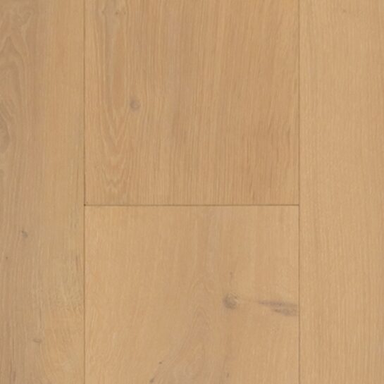 Barolo - Coming Soon!