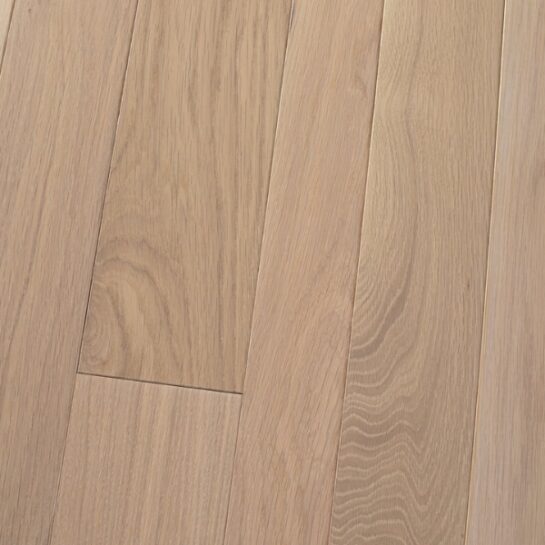 Sand Dollar Oak