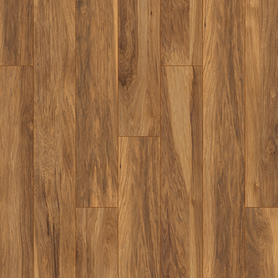 Alpen Hickory - Image 2