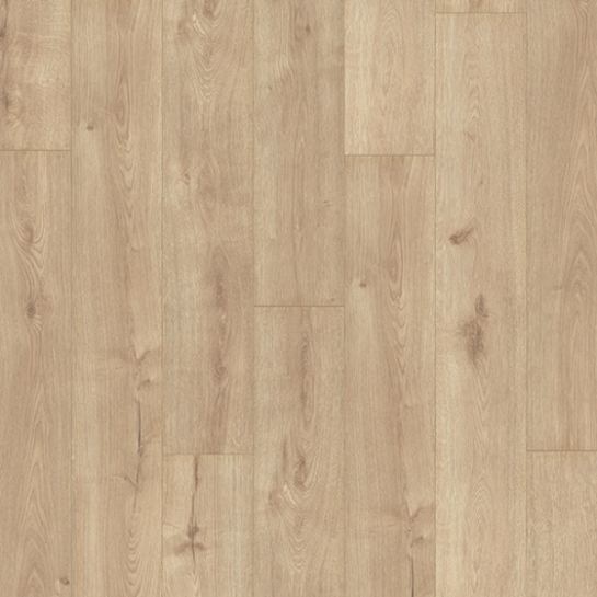Ammersee Oak - Image 2