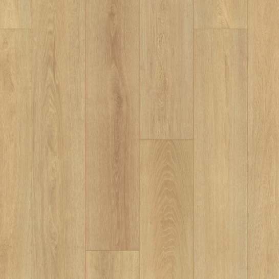Contina Oak - Image 2
