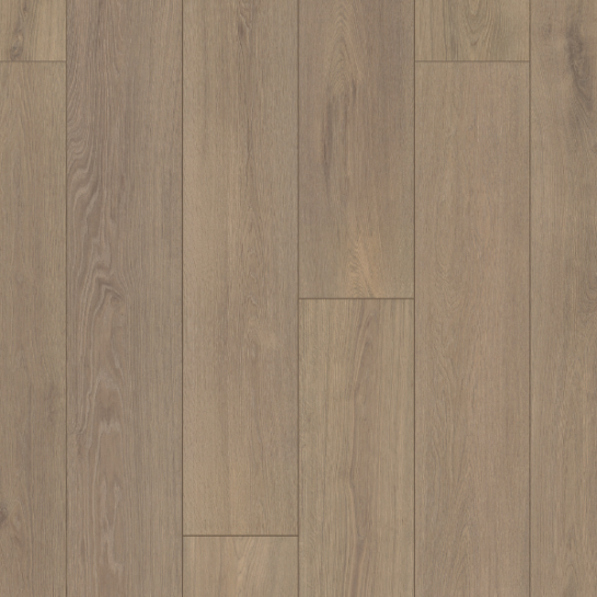 Swanson Oak - Image 2
